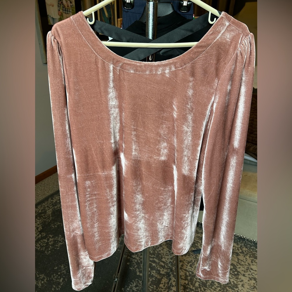Anthropologie velvet top with back detail